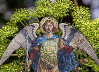 Ovu biljku otkrio je Sveti Arhangel Mihailo: Zovu je anđeoskom, veruje se da leči mnoge zdravstvene probleme, a njima se ne preporučuje Ovu biljku otkrio je Sveti Arhangel Mihailo: Zovu je anđeoskom, veruje se da leči mnoge zdravstvene probleme, a njima se ne preporučuje - featured image