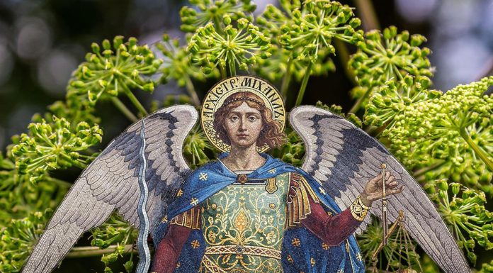 Ovu biljku otkrio je Sveti Arhangel Mihailo: Zovu je anđeoskom, veruje se da leči mnoge zdravstvene probleme, a njima se ne preporučuje Ovu biljku otkrio je Sveti Arhangel Mihailo: Zovu je anđeoskom, veruje se da leči mnoge zdravstvene probleme, a njima se ne preporučuje - featured image