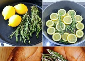 Tajna mešavina limuna i ruzmarina koja menja zdravlje iz korena! Tajna mešavina limuna i ruzmarina koja menja zdravlje iz korena! - featured image