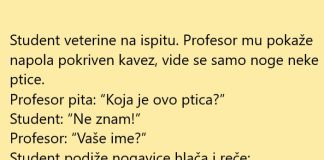 VIC DANA: Ispit na veterini