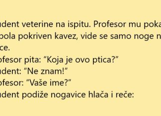 VIC DANA: Ispit na veterini