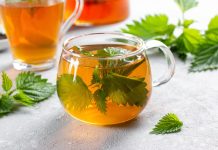 Biljkama protiv anemije: Čuveni travar otkriva kako poboljšati krvnu sliku na 3 načina Biljkama protiv anemije: Čuveni travar otkriva kako poboljšati krvnu sliku na 3 načina - featured image