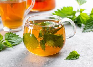 Biljkama protiv anemije: Čuveni travar otkriva kako poboljšati krvnu sliku na 3 načina Biljkama protiv anemije: Čuveni travar otkriva kako poboljšati krvnu sliku na 3 načina - featured image