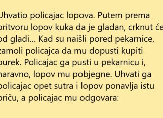 VIC DANA: Burek za lopova