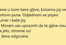 VIC DANA: Otrovne gljive