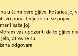 VIC DANA: Otrovne gljive
