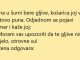 VIC DANA: Otrovne gljive