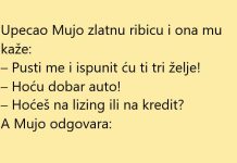 VIC DANA: Zlatna ribica