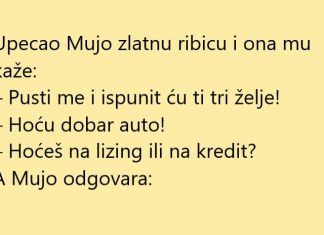 VIC DANA: Zlatna ribica