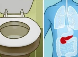 6 ZNAK0VA DA JE GUŠTERAČA U VELlK0J 0PASN0STI: 0vo su najraniji simptomi akutne i hronične upale… 6 ZNAK0VA DA JE GUŠTERAČA U VELlK0J 0PASN0STI: 0vo su najraniji simptomi akutne i hronične upale… - featured image