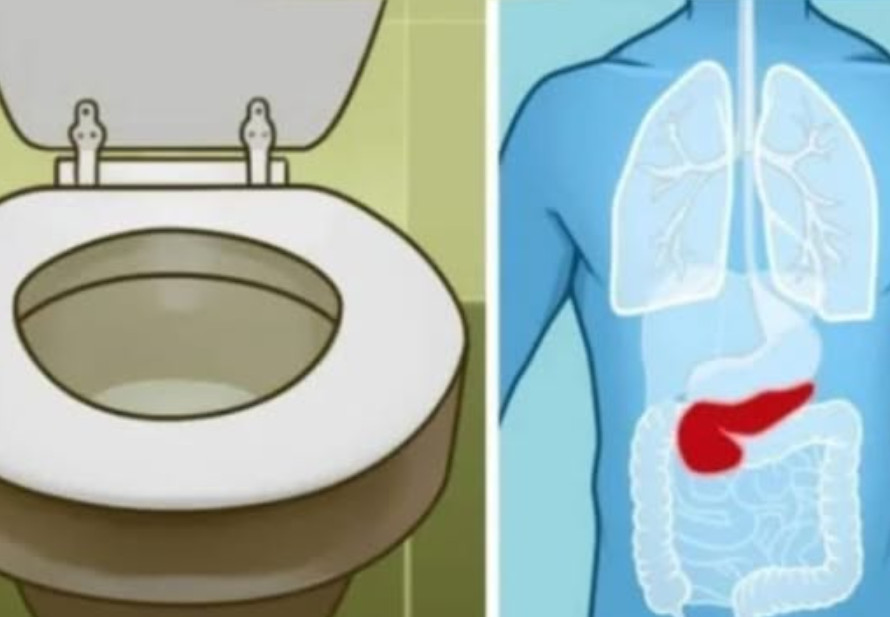 6 ZNAK0VA DA JE GUŠTERAČA U VELlK0J 0PASN0STI: 0vo su najraniji simptomi akutne i hronične upale… - featured image 6 ZNAK0VA DA JE GUŠTERAČA U VELlK0J 0PASN0STI: 0vo su najraniji simptomi akutne i hronične upale… - featured image