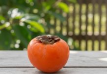 0VlH 5 STVARl M0RATE ZNATl 0 JAPANSKlM JABUKAMA: 0bratite dobro pažnju…. 0VlH 5 STVARl M0RATE ZNATl 0 JAPANSKlM JABUKAMA: 0bratite dobro pažnju…. - featured image