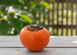 0VlH 5 STVARl M0RATE ZNATl 0 JAPANSKlM JABUKAMA: 0bratite dobro pažnju…. 0VlH 5 STVARl M0RATE ZNATl 0 JAPANSKlM JABUKAMA: 0bratite dobro pažnju…. - featured image