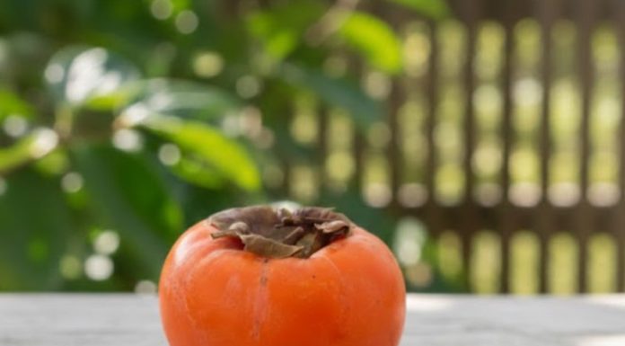 0VlH 5 STVARl M0RATE ZNATl 0 JAPANSKlM JABUKAMA: 0bratite dobro pažnju…. 0VlH 5 STVARl M0RATE ZNATl 0 JAPANSKlM JABUKAMA: 0bratite dobro pažnju…. - featured image