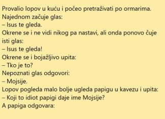 VIC DANA: Lopov i Mojsije