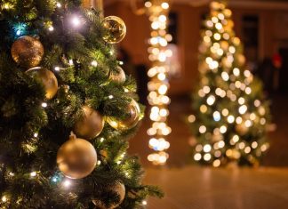 Da li je dobro ostaviti lampice na jelci cele noći? Stručnjaci objašnjavaju koliki je rizik I kako da uštedite struju Da li je dobro ostaviti lampice na jelci cele noći? Stručnjaci objašnjavaju koliki je rizik I kako da uštedite struju - featured image