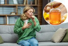 Muči vas suvi kašalj? Ovi prirodni saveznici mogu olakšati iritaciju i ublažiti simptome Muči vas suvi kašalj? Ovi prirodni saveznici mogu olakšati iritaciju i ublažiti simptome - featured image