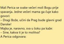 VIC DANA: Glavni grad Danske