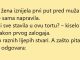 VIC DANA: Prva torta