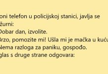 VIC DANA: Ušla mačka