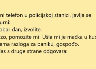 VIC DANA: Ušla mačka