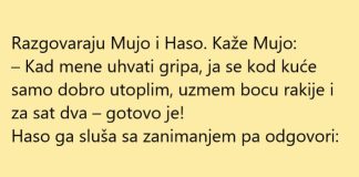 VIC DANA: Liječenje gripe