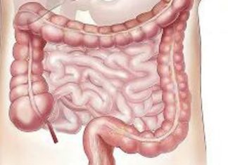 OVO VOĆE JE PRAVI MELEM ZA CREVA! Svi ga prekaču, a broj JEDAN je za ljude koji BOLUJU OD… OVO VOĆE JE PRAVI MELEM ZA CREVA! Svi ga prekaču, a broj JEDAN je za ljude koji BOLUJU OD... - featured image
