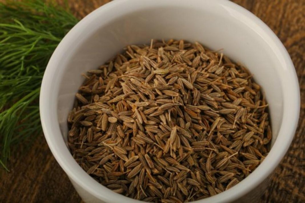 Najbolje čisti jetru, jača imunitet i pomaže kod nadutosti: Lekovitost ove biljke pominje se u Bibliji i Kuranu - featured image