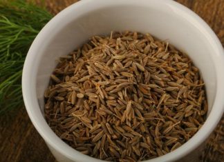 Najbolje čisti jetru, jača imunitet i pomaže kod nadutosti: Lekovitost ove biljke pominje se u Bibliji i Kuranu Najbolje čisti jetru, jača imunitet i pomaže kod nadutosti: Lekovitost ove biljke pominje se u Bibliji i Kuranu - featured image