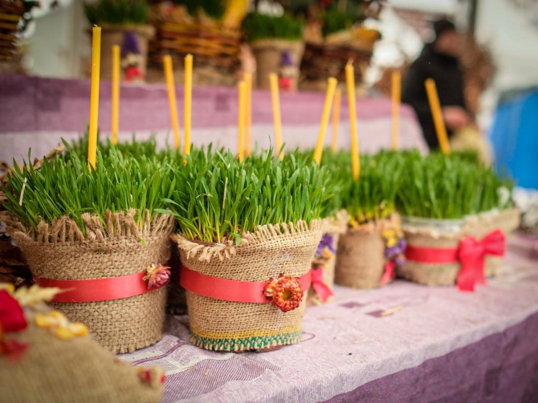 Božićnu pšenicu nikako ne smete da bacate: Drugog dana Božića obavezno uradite jednu stvar s njom da bi vas sreća pratila - featured image Božićnu pšenicu nikako ne smete da bacate: Drugog dana Božića obavezno uradite jednu stvar s njom da bi vas sreća pratila - featured image