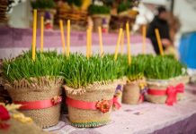 Božićnu pšenicu nikako ne smete da bacate: Drugog dana Božića obavezno uradite jednu stvar s njom da bi vas sreća pratila Božićnu pšenicu nikako ne smete da bacate: Drugog dana Božića obavezno uradite jednu stvar s njom da bi vas sreća pratila - featured image