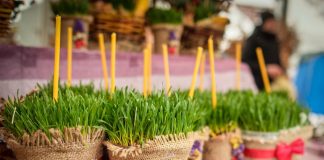 Božićnu pšenicu nikako ne smete da bacate: Drugog dana Božića obavezno uradite jednu stvar s njom da bi vas sreća pratila Božićnu pšenicu nikako ne smete da bacate: Drugog dana Božića obavezno uradite jednu stvar s njom da bi vas sreća pratila - featured image