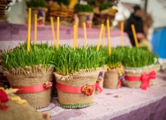 Božićnu pšenicu nikako ne smete da bacate: Drugog dana Božića obavezno uradite jednu stvar s njom da bi vas sreća pratila Božićnu pšenicu nikako ne smete da bacate: Drugog dana Božića obavezno uradite jednu stvar s njom da bi vas sreća pratila - featured image