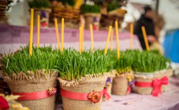 Božićnu pšenicu nikako ne smete da bacate: Drugog dana Božića obavezno uradite jednu stvar s njom da bi vas sreća pratila Božićnu pšenicu nikako ne smete da bacate: Drugog dana Božića obavezno uradite jednu stvar s njom da bi vas sreća pratila - featured image