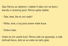 VIC DANA: Oću kucu