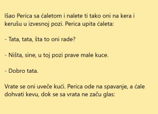 VIC DANA: Oću kucu