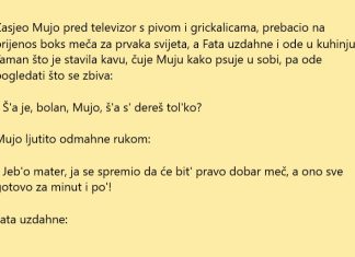 VIC DANA: Kad Mujo gleda boks