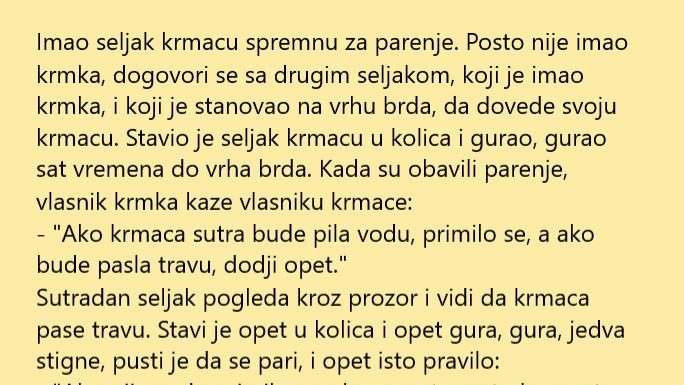 VIC DANA: Krmača
