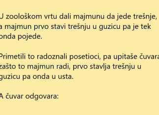 VIC DANA: Majmun proba trešnju