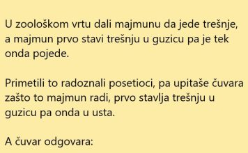 VIC DANA: Majmun proba trešnju