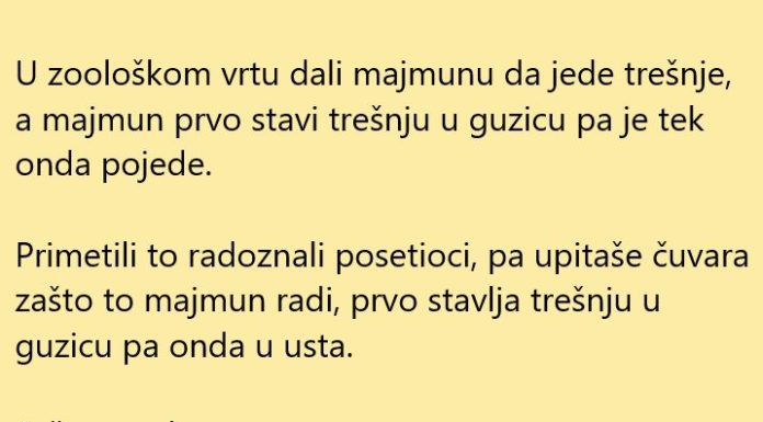 VIC DANA: Majmun proba trešnju