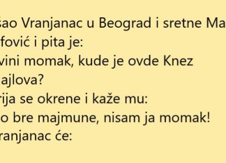 VIC DANA: Vranjanac u Beogradu