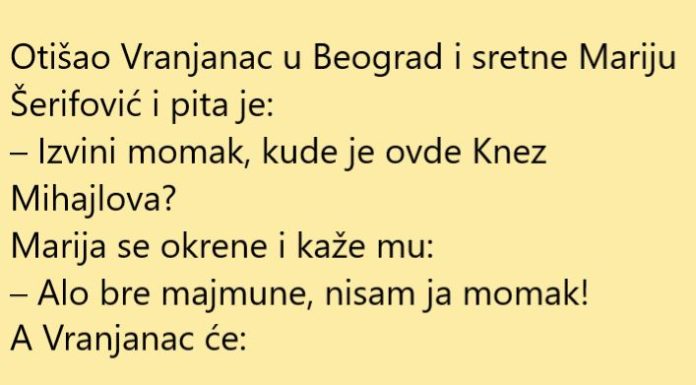 VIC DANA: Vranjanac u Beogradu