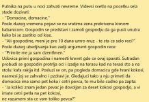 VIC DANA: Džentlmen