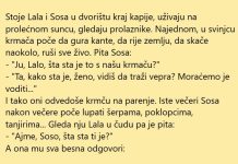 VIC DANA: Expert Lala