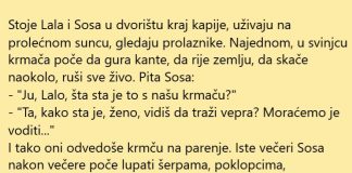 VIC DANA: Expert Lala