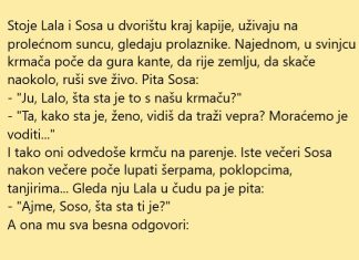 VIC DANA: Expert Lala