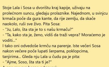 VIC DANA: Expert Lala