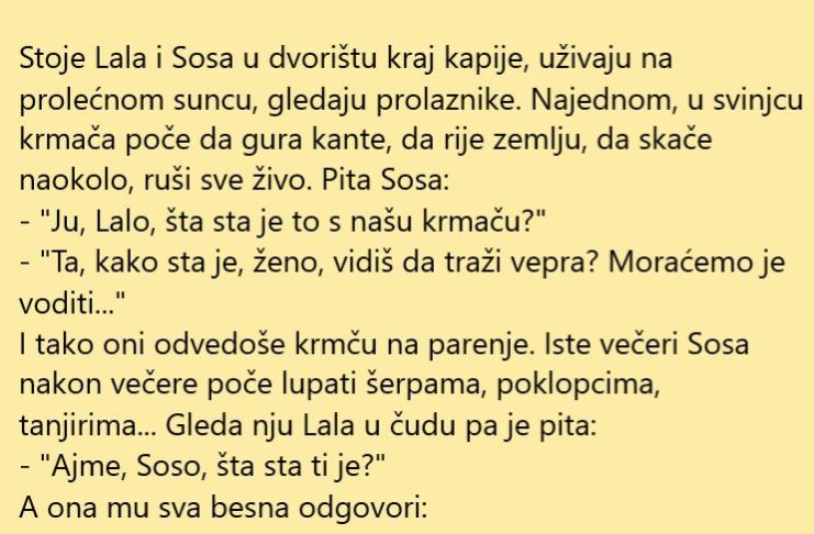 VIC DANA: Expert Lala