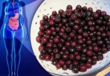 Za ovo VOĆE kažu da je najzdravije na svetu: Ubija ćelije RAKA, viruse i usporava STARENJE